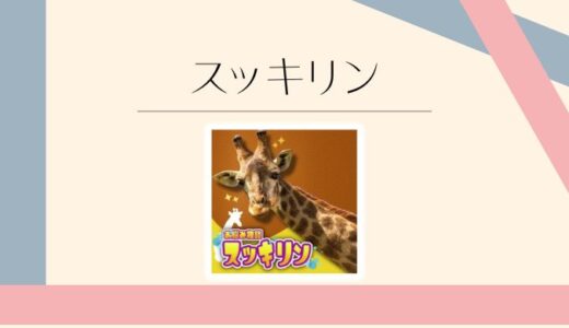 スッキリン(ビデオ通話アプリ)の口コミ評判 | 料金や安全性をわかりやすく解説